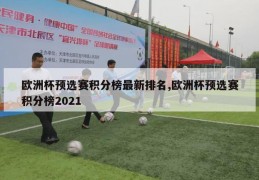 欧洲杯预选赛积分榜最新排名,欧洲杯预选赛积分榜2021