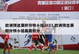 欧洲预选赛积分榜小组2023,欧洲预选赛积分榜小组最新积分