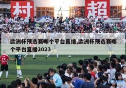 欧洲杯预选赛哪个平台直播,欧洲杯预选赛哪个平台直播2023