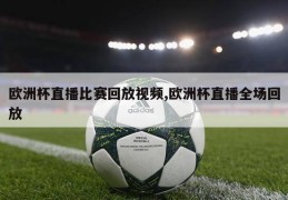 欧洲杯直播比赛回放视频,欧洲杯直播全场回放