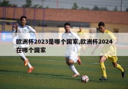 欧洲杯2023是哪个国家,欧洲杯2024在哪个国家