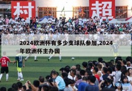 2024欧洲杯有多少支球队参加,2024年欧洲杯主办国