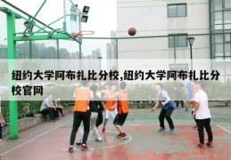 纽约大学阿布扎比分校,纽约大学阿布扎比分校官网