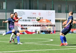 欧洲杯2024观看图册,2024欧洲杯比赛时间