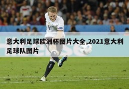 意大利足球欧洲杯图片大全,2021意大利足球队图片