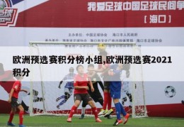 欧洲预选赛积分榜小组,欧洲预选赛2021积分