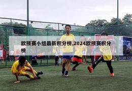 欧预赛小组最新积分榜,2024欧预赛积分榜