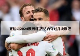 齐达内2024欧洲杯,齐达内夺过几次欧冠