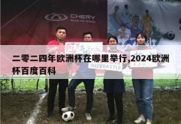 二零二四年欧洲杯在哪里举行,2024欧洲杯百度百科