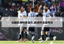 法国欧洲杯安道尔,欧洲杯法国得分