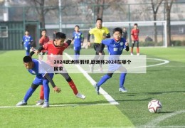 2024欧洲杯假球,欧洲杯2024在哪个国家