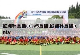 欧洲杯直播cctv5直播,欧洲杯直播 cntv