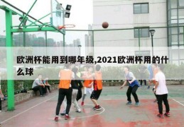 欧洲杯能用到哪年级,2021欧洲杯用的什么球